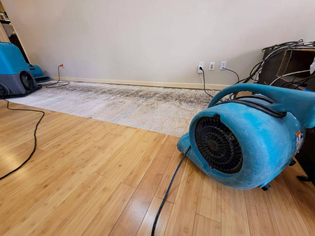 Professional Flood Damage Cleanup technician working in Lincolnville, ME